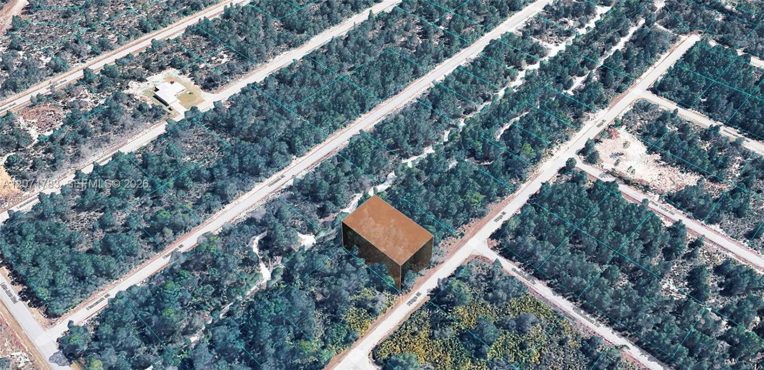 955 RIDGE ST, Lake Placid, Floride 33852, États-Unis