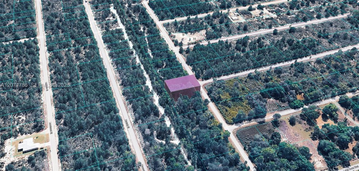 953 RIDGE ST, Lake Placid, Floride 33852, États-Unis