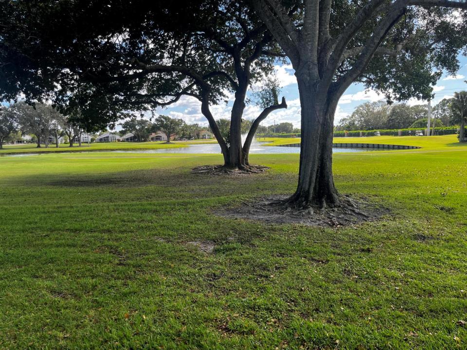 12830 Briarlake Drive 103, Palm Beach Gardens, Florida 33418, Stati Uniti