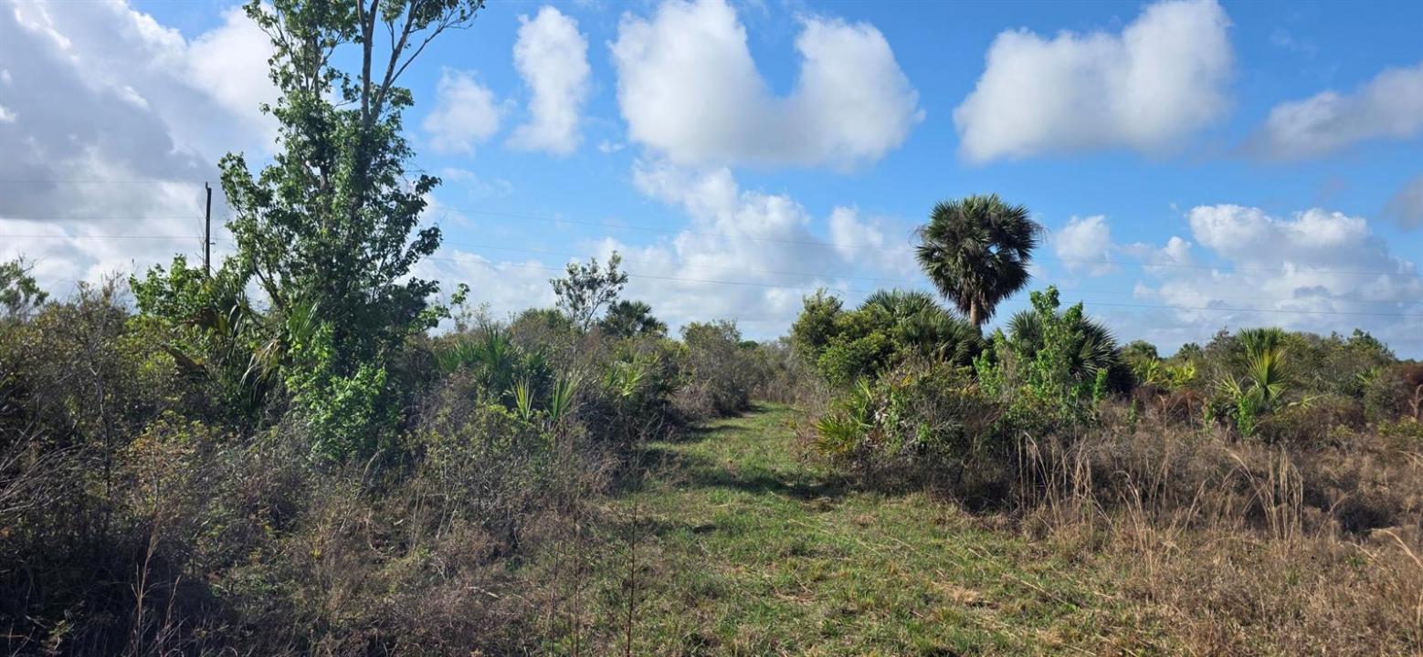 16529 NW 264TH Street, Okeechobee, Floride 34972, États-Unis