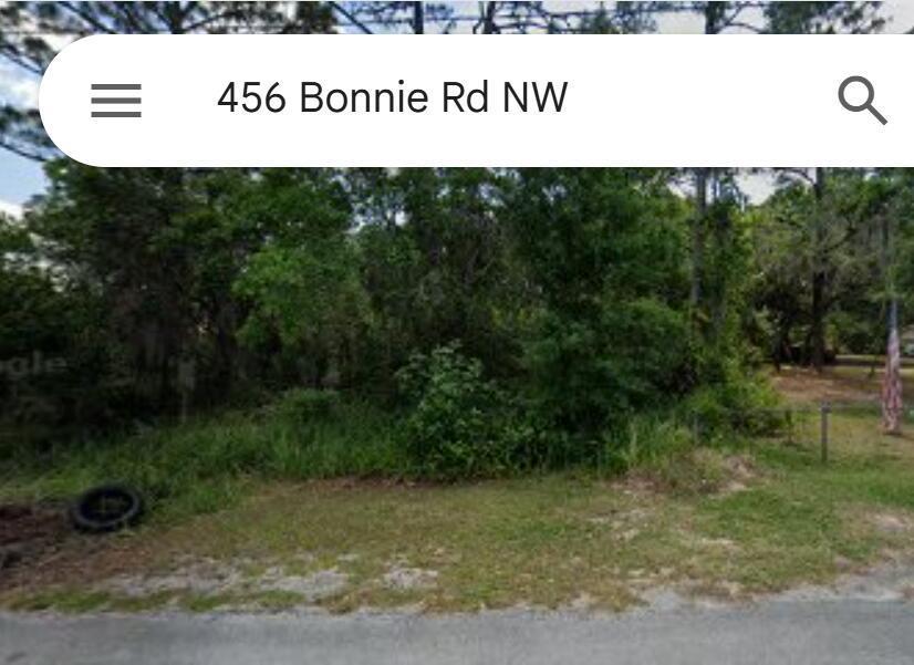 456 Bonnie NW Road, Lake Placid, Florida 33852, Stati Uniti