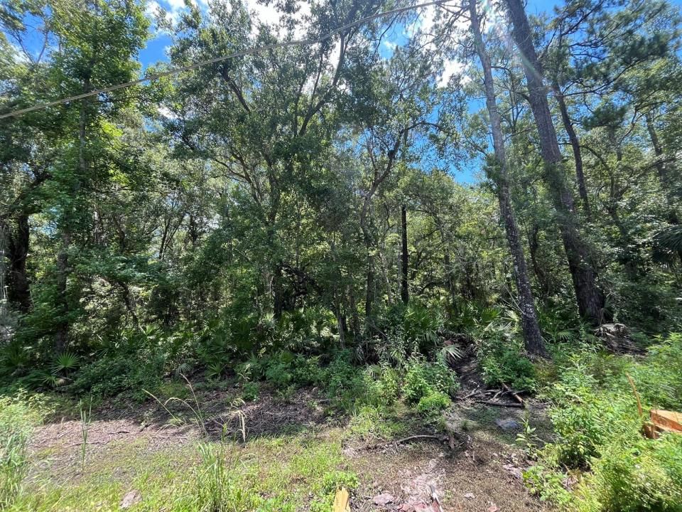 Tbd FRANKLIN Drive, Florida 32327, Stati Uniti