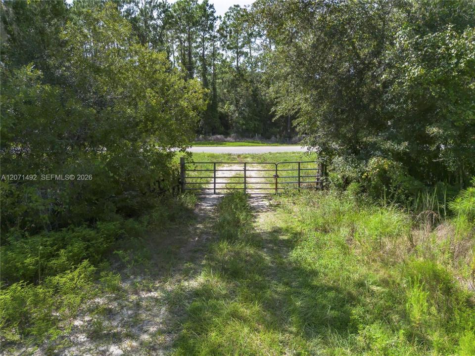 1369 Water Oak, Floride 32110, États-Unis