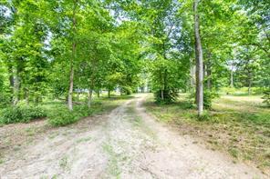 3126 Shadow Pine Drive, Larue, טקסס 75770, ארצות הברית של אמריקה 