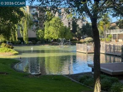 N Civic, Walnut Creek, California 94596-3611, Stati Uniti
