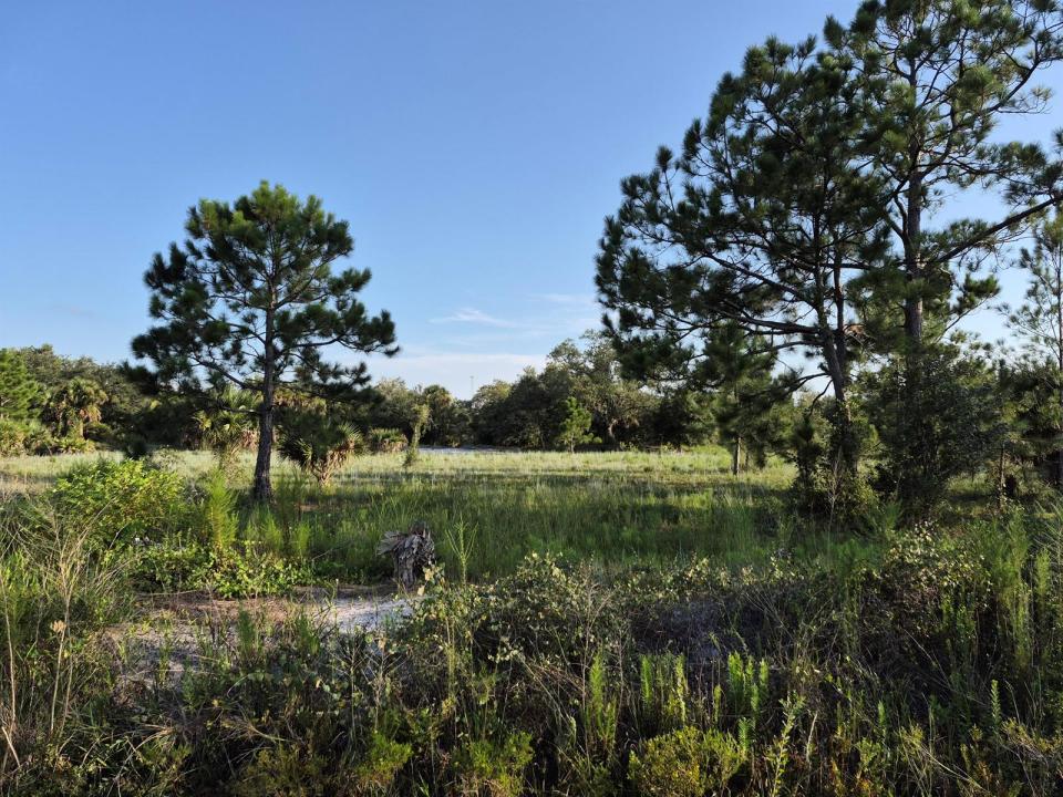 16810 NW 292ND Street, Okeechobee, Floride 34972, États-Unis
