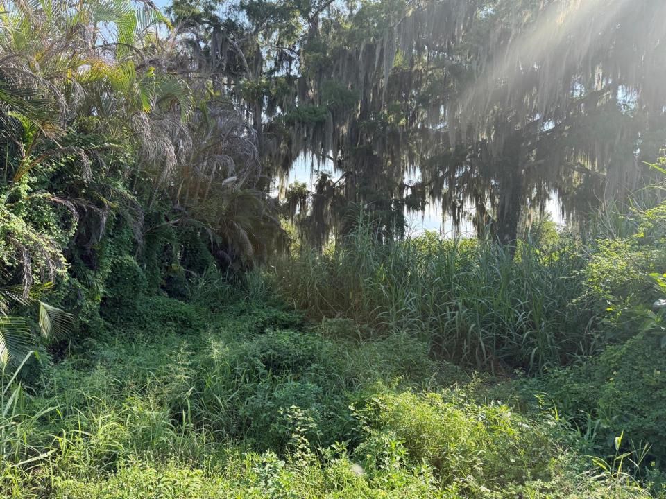 9825 U.S. 441, Okeechobee, Floride 34974, États-Unis