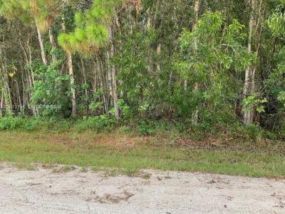82nd St N, Palm Beach, Flórida 33412, Estados Unidos