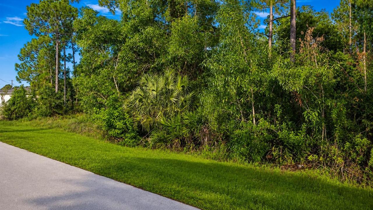 2424 Lola S Avenue, Lehigh Acres, Floride 33973, États-Unis