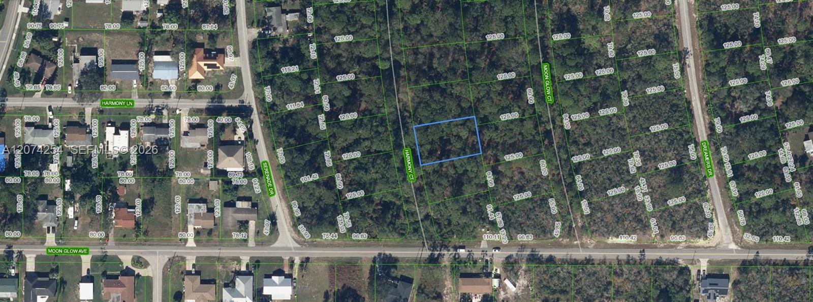209 Harmony Court, Lake Placid, Floride 33852, États-Unis