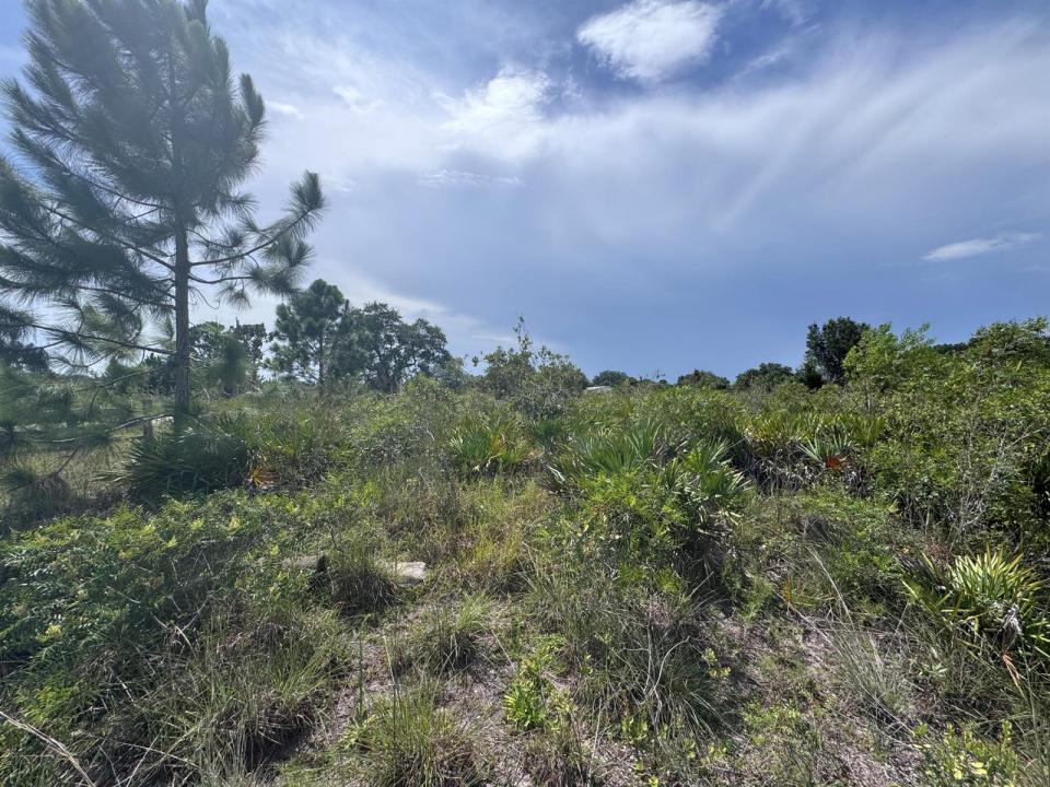 20589 NW 254TH Street, Okeechobee, Florida 34972, USA