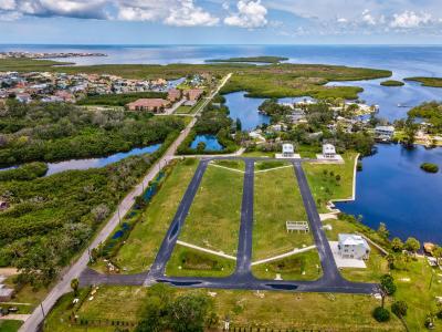 Lot 31 Opus Way, New Port Richey, فلوريدا 34652, الولايات المتحدة