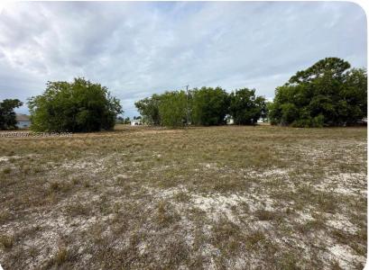 806 SKYLINE, Cape Coral, Florida 33991