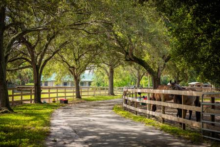 4300 Vinkemulder Road, Coconut Creek, Florida 33073, Stati Uniti