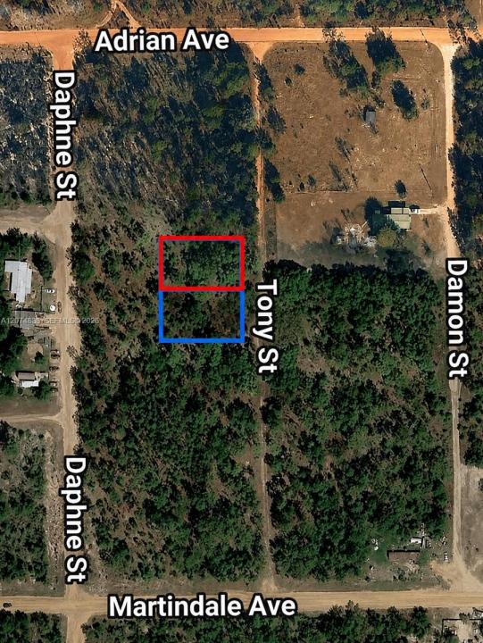 0 TOBY ST, Palatka, Florida 32148, Stati Uniti