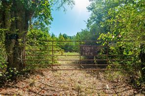 241 County Road 4824, Ben Wheeler, Texas 75754, États-Unis