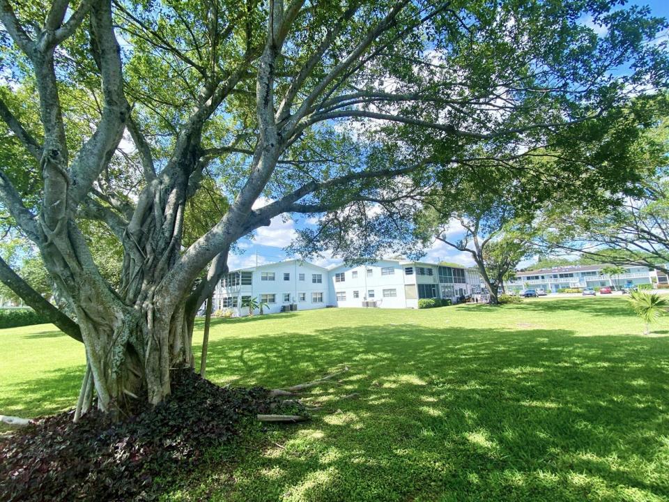 335 FARNHAM P, Deerfield Beach, Florida 33442, USA