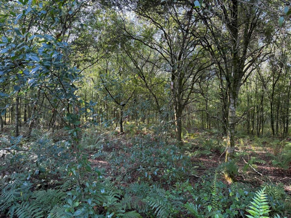 7868 NW 96TH Court, Okeechobee, Florida 34972, USA