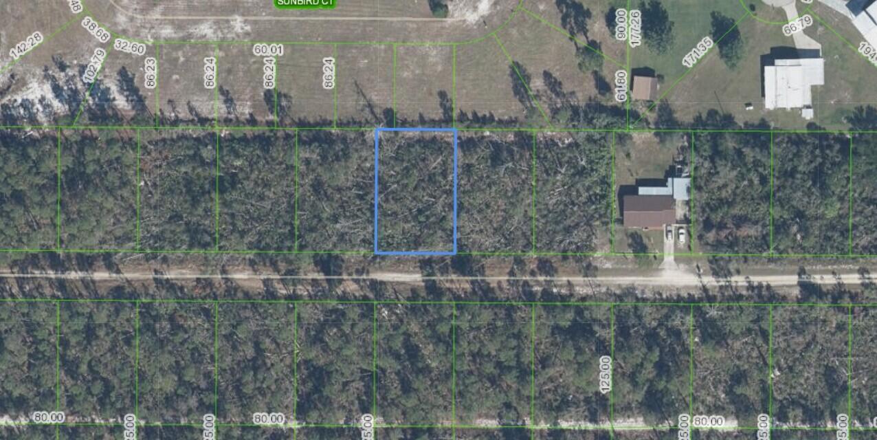 436 NIGHTINGALE Avenue, Sebring, Floride 33870, États-Unis
