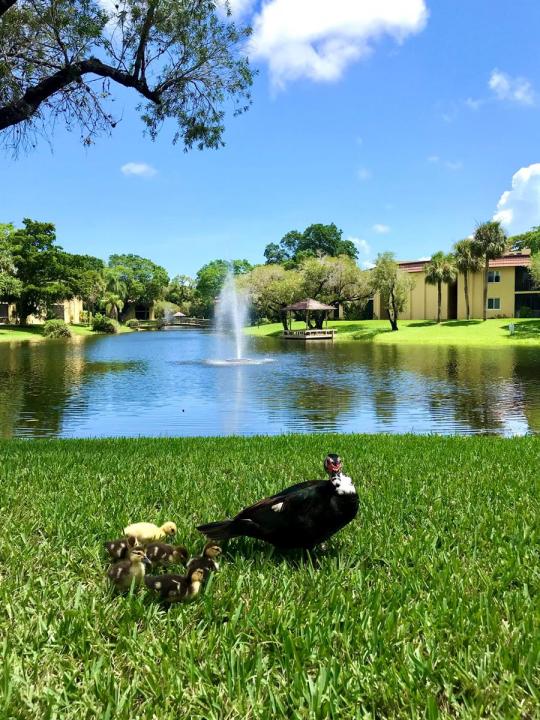 830 SW 9th Street Circle APT 201, Boca Raton, Florida 33486, USA