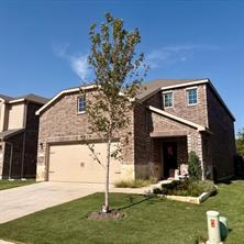 337 Glenwick Lane, Van Alstyne, 得克萨斯州 75495, 美国