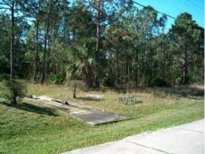 210 NW EMERSON NW Drive, Palm Bay, Floride 32907, États-Unis