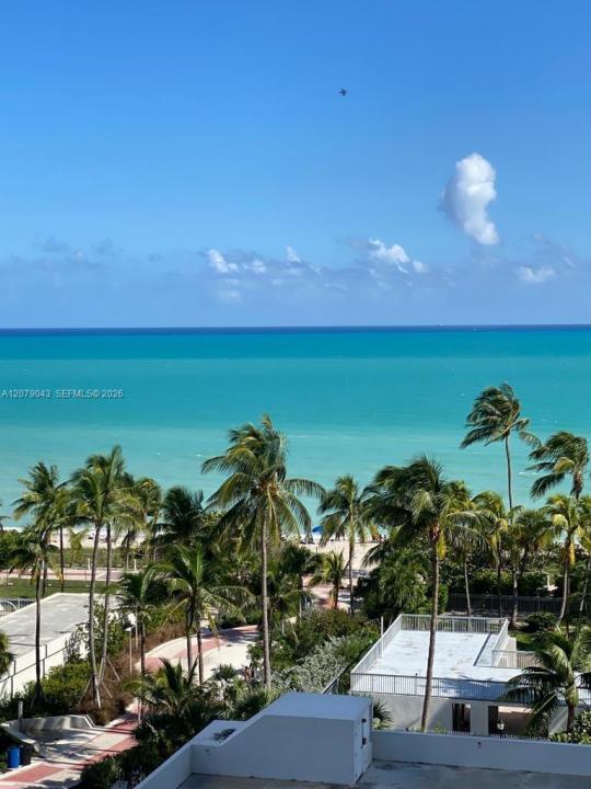 2655 Collins Ave 1003, Miami Beach, Florida 33140, USA