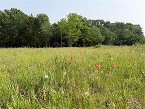 County Road 1130, Cumby, Texas 75453, États-Unis
