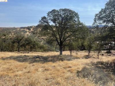 Cane Lane, Valley Springs, California 95252, Stati Uniti