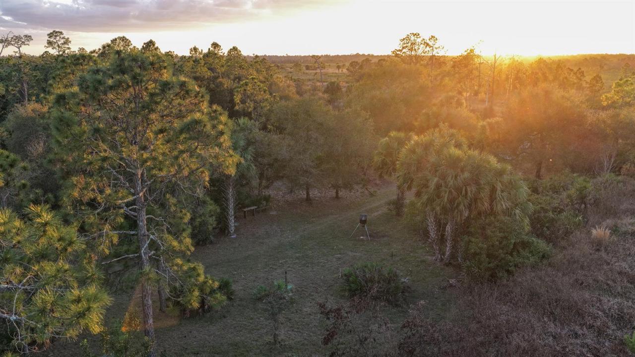 32801 US HIGHWAY 441 N, Okeechobee, Floride 34972, États-Unis