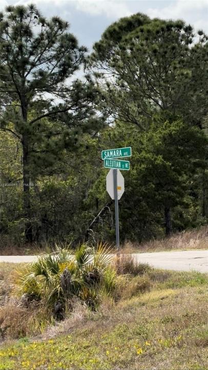 1215 Aleutian St NE, Lake Placid, Floride 33852, États-Unis