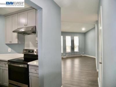 Albany Cmn, Fremont, Калифорния 94538, Соединенные Штаты