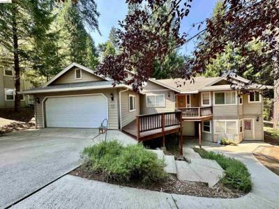 Saint Andrews Ct, Pioneer, Californie 95666, États-Unis