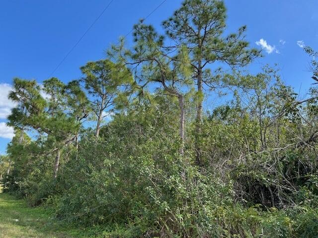 17992 94th N Street, Loxahatchee, Florida 33470, Stati Uniti