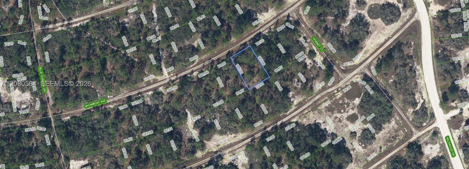 387 Showboat Ave, Lake Placid, Floride 33852, États-Unis