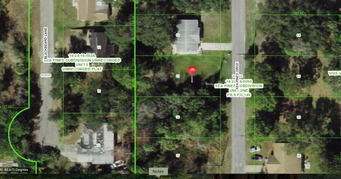 61 Sea Pines Drive, Hudson, Florida 34667, USA