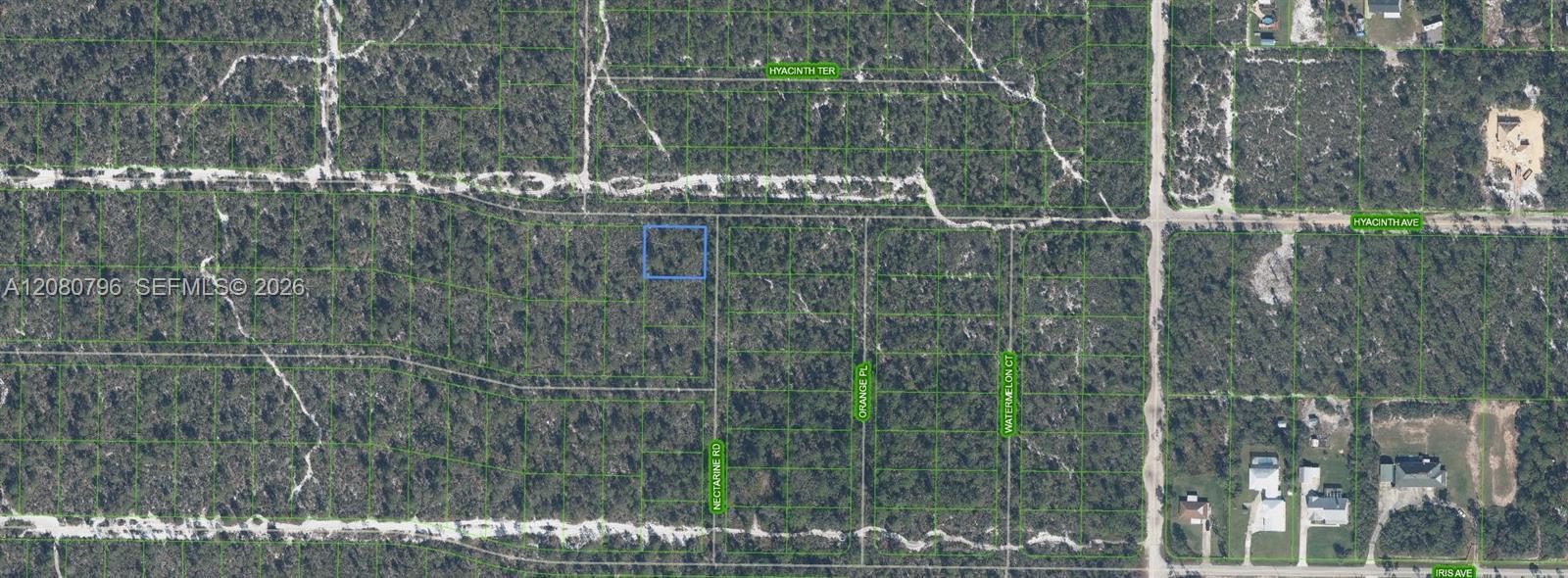 1307 Hyacinth Ave, Sebring, Floride 32303, États-Unis