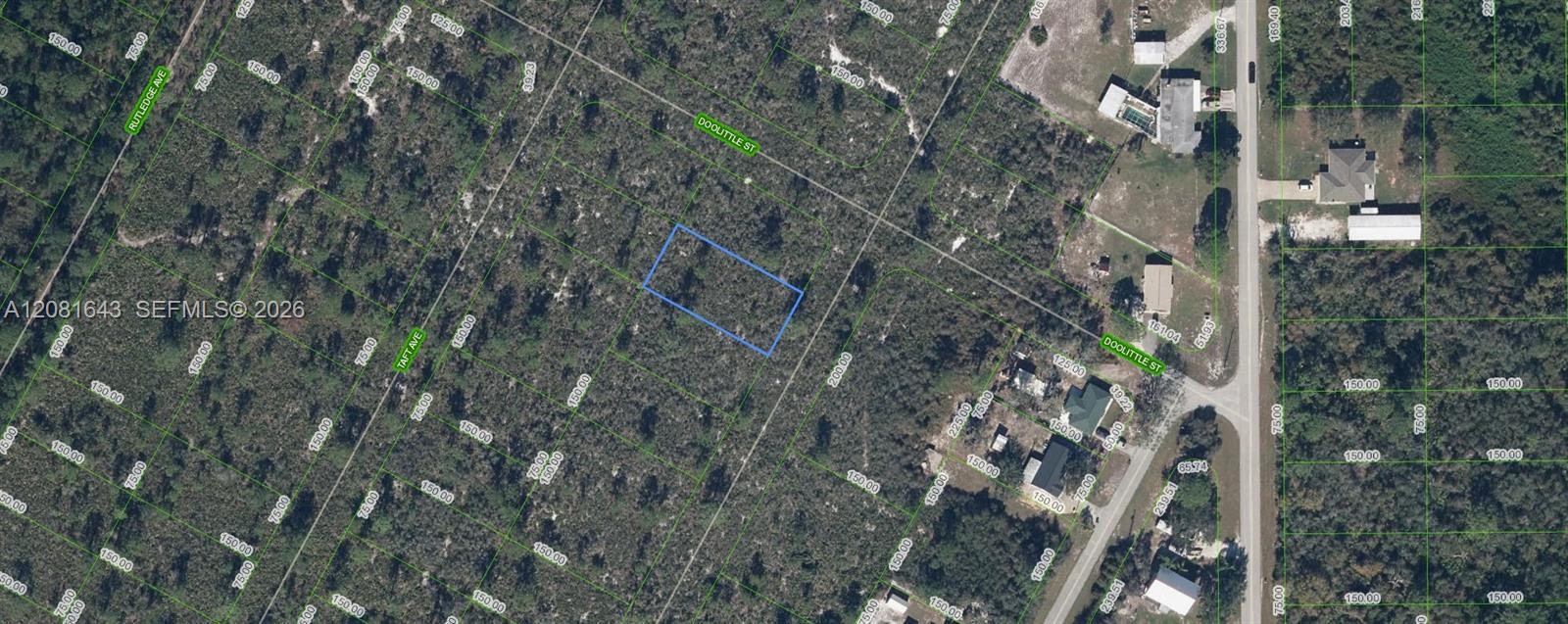 1454 Jayhawk Ave, Lake Placid, Florida 33852, USA