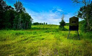 Segno Fire Lane, Livingston, Texas 77351, Estados Unidos