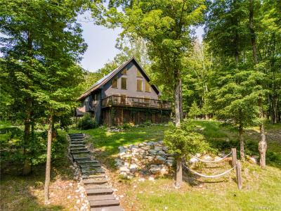 858 Roosa Gap Road, Mamakating, 纽约州 12721, 美国