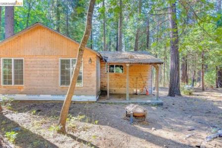 Pine Dr, Arnold, Califórnia 95223, Estados Unidos