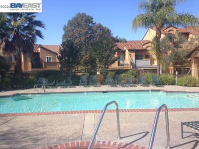 Bollinger Canyon, San Ramon, كاليفورنيا 94583, الولايات المتحدة