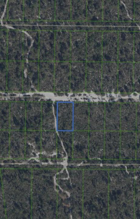 2221 Iris Avenue, Sebring, פלורידה 33875, ארצות הברית של אמריקה