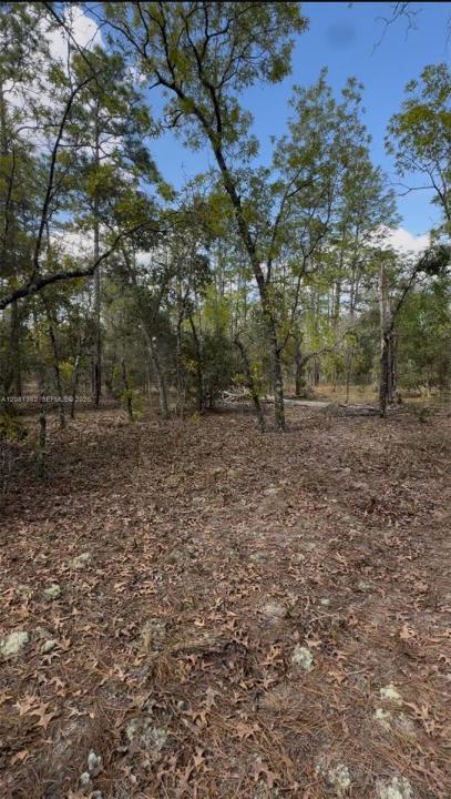 SW SW INDIAN HILL DR, Ocala, Floride 34431, États-Unis