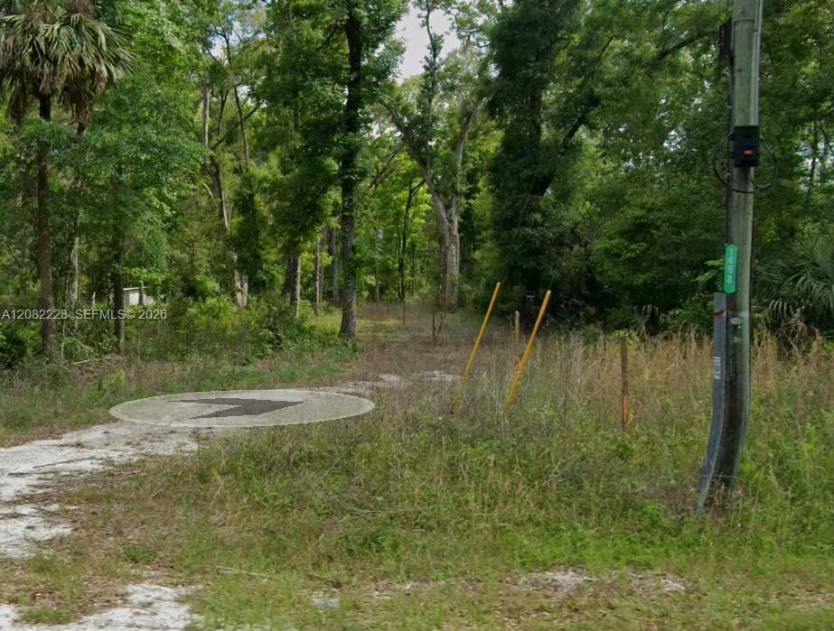 1498 NE 239th Ave, Floride 32680, États-Unis