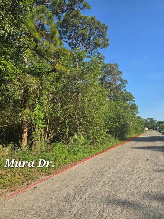 Tbd Mura Drive, Fort Pierce, Floride 34982, États-Unis