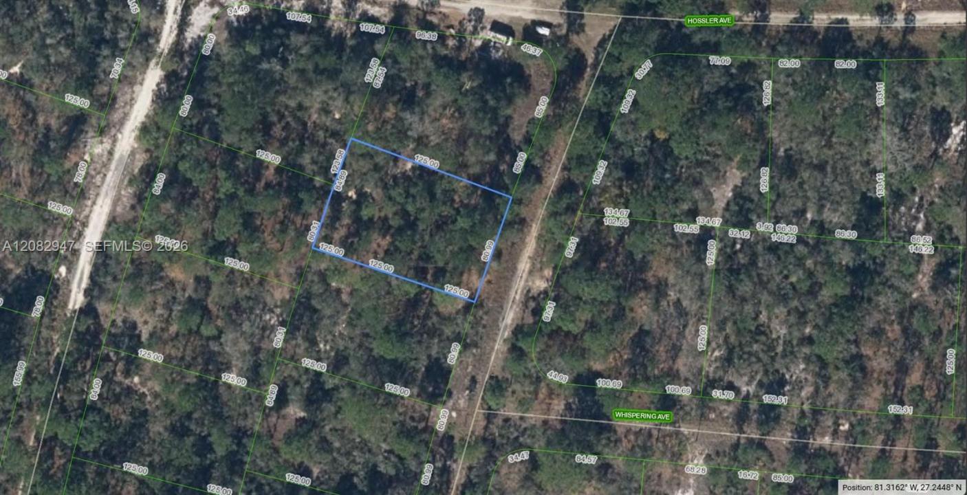 332 Sunnyside Dr, Lake Placid, Floride 33852, États-Unis