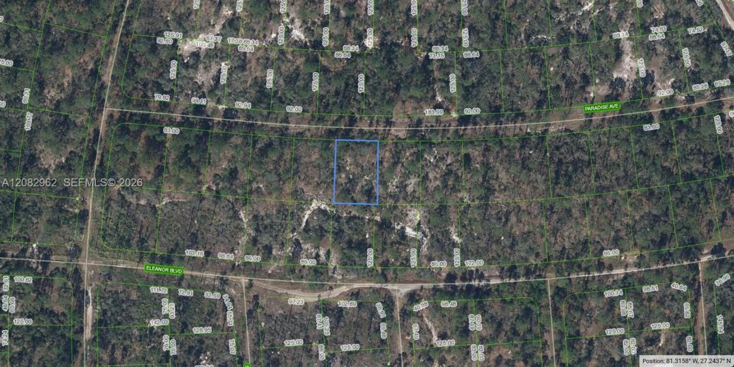 359 Paradise Ave, Lake Placid, Floride 33852, États-Unis