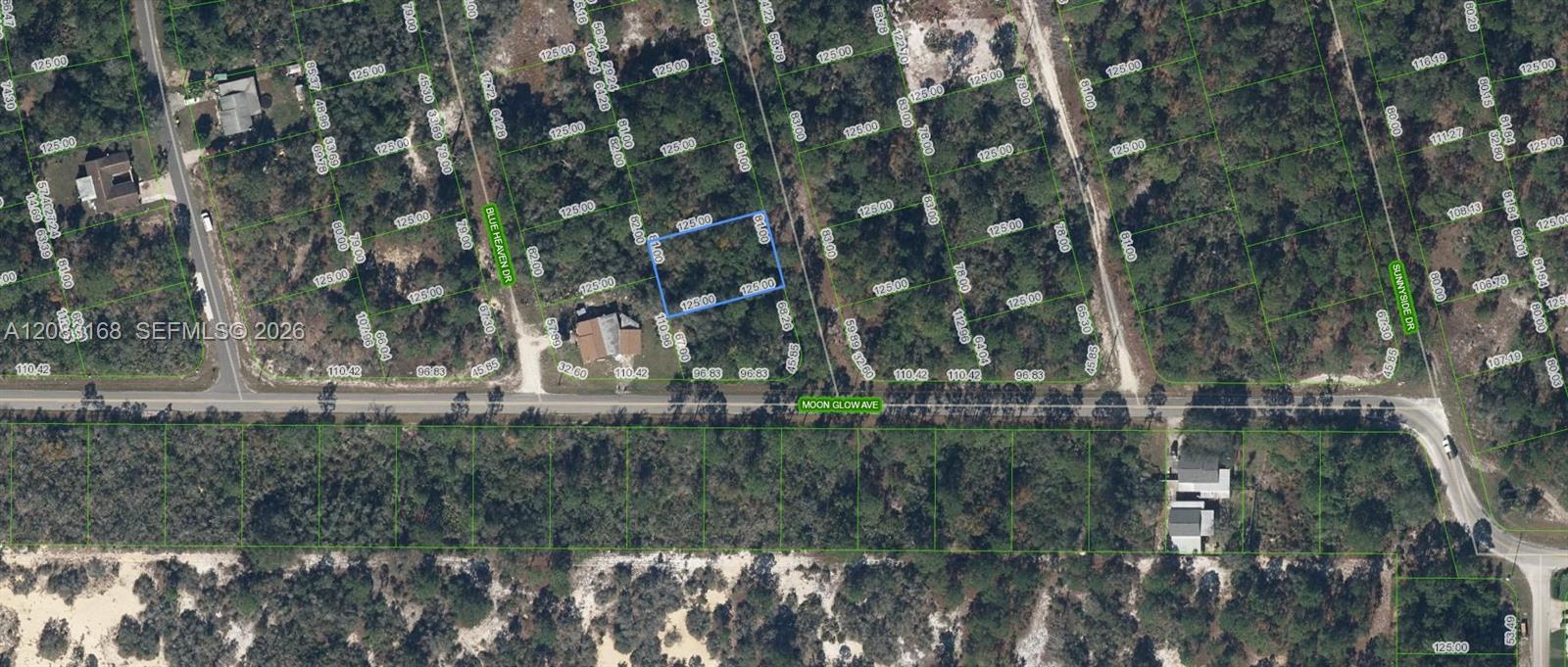 204 Rainbow Drive, Lake Placid, Florida 33852, Stati Uniti