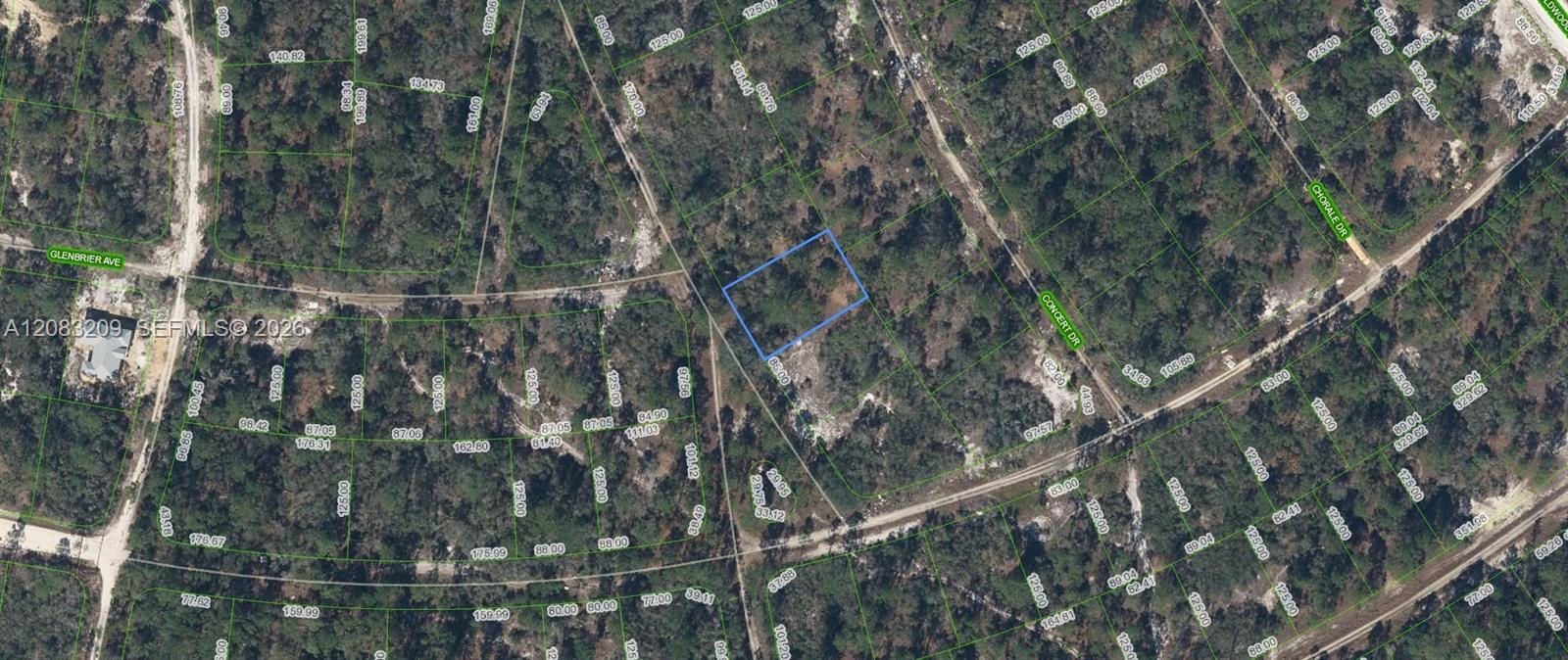 379 Blue Horizon Drive, Lake Placid, Floride 33852, États-Unis